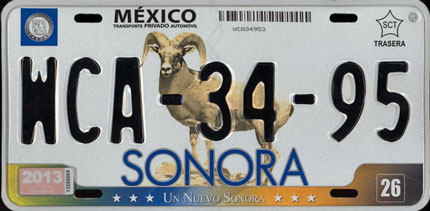 Son Mex #WCA-34-95
